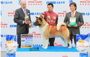2012年4月30-5月1日，上海CKC全犬种大赛，旗开得胜。