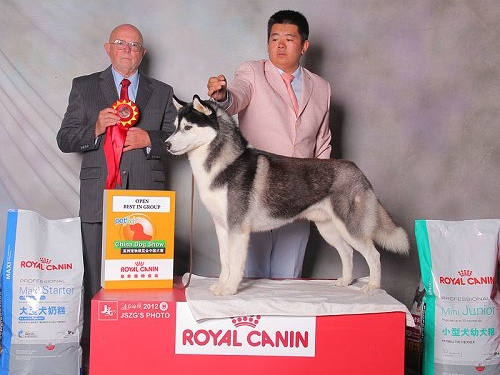 2012年10月上海亚洲宠物展华丽开幕