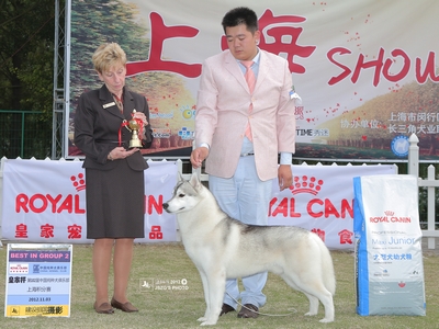 2012年11月上海来宝犬业在上海CKC