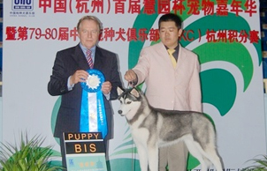 2011年10月22-23日，杭州CKC宠物嘉年华全犬种大赛再创佳绩