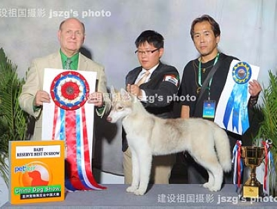 郑州的赛事余温还没有退去，我们又迎来了9月24-25两日的上海亚洲宠物展。