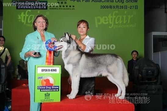 2009年上海亚洲宠物展